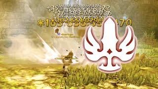 Gladiator Finish Attack during Cap 50 to 70 be like - Dragon Nest SEA