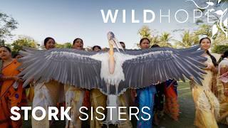 Meet the Army of Women Saving India’s Rarest Stork | WILD HOPE