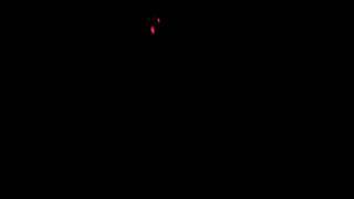 Homemade Laser Interferometer.