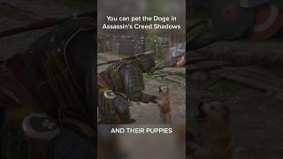 You can pet the Doge in Assassin's Creed Shadows (and puppies!!) 