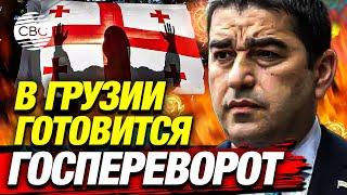 Грузия на грани: Спикер парламента Папуашвили раскрыл планы госпереворота в стране!