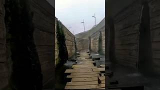 Running Bird 