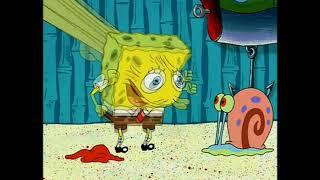 sponge garp