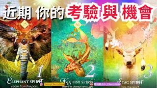 「危機 & 機遇」近期將會發生的 挑戰｜運命為你帶來的轉機 有字幕 無時間限制占卜 #塔羅 #占卜#tarotReading #oracle #PickaCard #婚姻 #愛 #事業 #工作