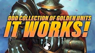 An Odd Collection of Golden Units, It Works! | Dogdog Hearthstone Battlegrounds