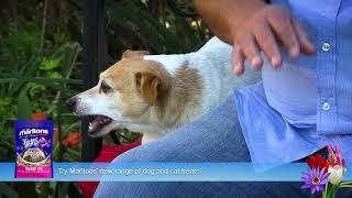 Let's Talk Gardening with Efekto EP 12 Pet Care