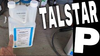 KILL MOSQUITOS NOW with TalStar P