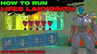 LIFES LABYRINTH Guide Ark Survival Ascended!!! All 4 Artifacts in New Jump Puzzle Cave on Ragnarok!!