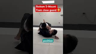 BJJ arm bar 