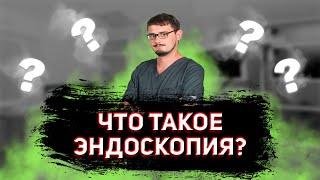 Эндоскопия - подробный обзор темы | Ветеринар эндоскопист