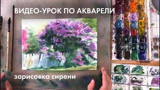 Как нарисовать сирень акварелью?