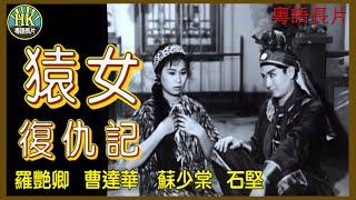 《粵語長片》猿女復仇記 (1963)｜羅艷卿｜曹達華｜蘇少棠｜石堅｜導演：胡鵬｜香港電影｜香港粵語電影｜粵語中字