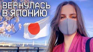 Я ВЕРНУЛАСЬ В ЯПОНИЮ!  2022【JAPAN VLOG】