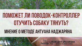 Поможет ли контроллер отучить собаку тянуть поводок? Мнение о методе Антуана Наджаряна