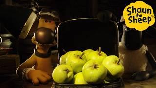 Shaun the Sheep  What's in the case..APPLE - Cartoons for Kids  Full Episodes Compilation [1 hour]