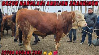 BOZOR NARHLARI ANDIJON SHAXRIHON MOL BOZORI 