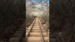 One of O’ahu, Hawaii’s Best Hiking Trails #hiking #traveler #landscape #hawaii #adventure