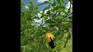 VR Fruit Picker for Quest 1 (2020)