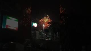 Fireworks Happy New Year To All! #shorts #fireworks #2025