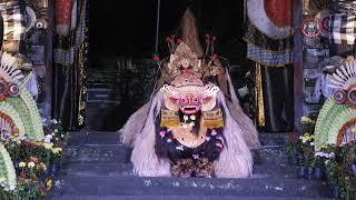 Living Tradition Witnessing the Beauty of Barong Dance in Bali
