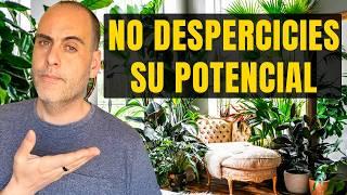 10 razones que no sabías para tener plantas en casa