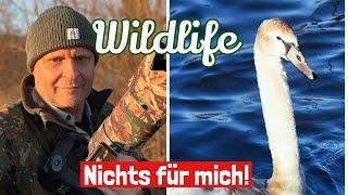 Wildlife-Fotografie Atemberaubend, aber NICHTS für mich!