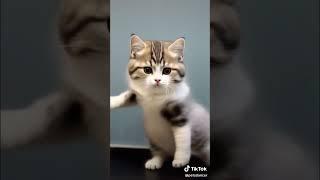 #memes #humormemes #funny #funnyfriends #funnyimages #live #funnypranksters #funnymemes