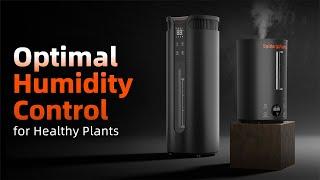 Spider Farmer 6L & 16L Humidifiers | Perfect Humidity for Your Grow Room | Cool Mist Humidifier