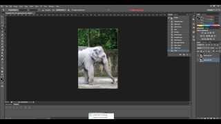 Create Perfect Animated GIF With Photoshop CS6