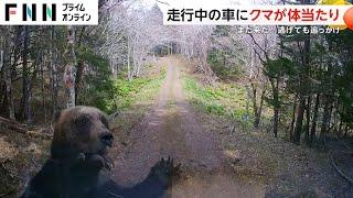 【恐怖】ヒグマが“猛スピード”で車に体当たり　逃げても追いかけてくるクマに「また来た！ヤバいぜ！」　北海道・根室市（2024/4/29放送）