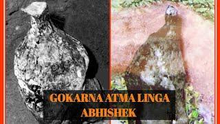 गोकर्ण आत्मलिंग अभिषेक. Gokarna atma Linga Abhishek.