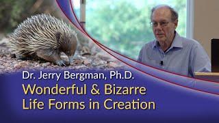 Dr Jerry Bergman - Wonderful & Bizarre Life Forms in Creation