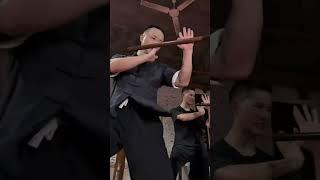 Wing Chun Pak Sao Practise #wingchun #vingtsun #kungfu #selfdefense  #martialarts #咏春 #咏春拳 #詠春拳 #詠春