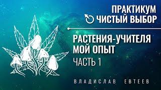 РАСТЕНИЯ–УЧИТЕЛЯ. МОЙ ОПЫТ