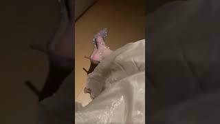 trendy heel design #trending #shorts #asmr #heels #trend #asmr