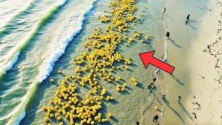 Hundreds Of Yellow Balls Wash Up — Then The Coast Guard Finds Out Why