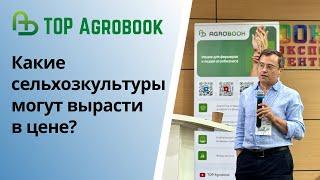 Какие сельхозкультуры могут вырасти в цене? | TOP Agrobook: обзор аграрных новостей