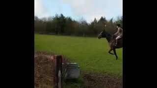 THE HUNTING NOTICE BOARD QUORN HUNT RACE RIDE