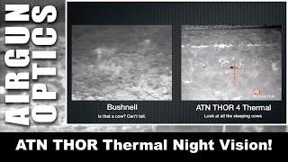 ATN THERMAL - ATN Thor Thermal Rifle Scope - Exceptional Night Hunting Optics