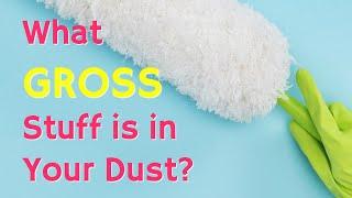 What Lurks in Your Dust or Air? | Our Results with a VOC Testing Kit and Dust Tape Test Kit