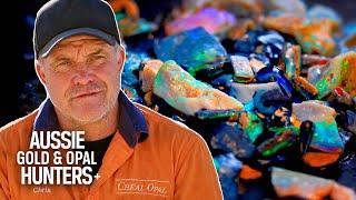 The Cheals Uncover STUNNING Black Opal Boosting Their Season to $585,000! | Outback Opal Hunters