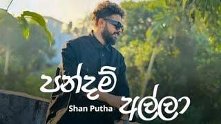 Pandam alla (පන්දම් අල්ලා)-Shan putha ×dimi3 Official music vedio -දුප්පත් අපි රජවරු මේ කාලේ Sanduwa