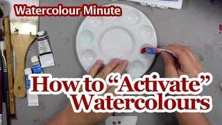 Watercolour Painting Lesson - How to Activate Tube Watercolours