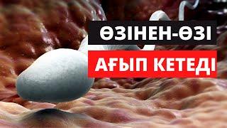 Мүшедегі сұйықтық неге өзінен-өзі ағып кетеді?