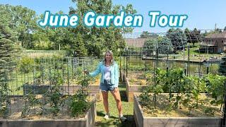 Full Vegetable Garden Tour - June 2025 - Michigan Zone 6a