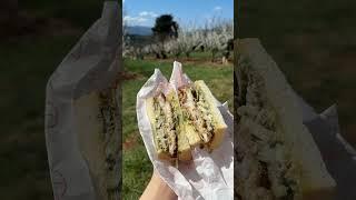 Melbourne Cherry blossom festival, cherry ice cream, cherry blossom milk te  #melbourne