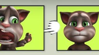 Be Serious! | Talking Tom | Cartoons for Kids | WildBrain Zoo