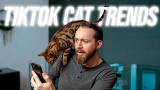 TIKTOK Cat Challenges with our BENGAL CAT || Weekly Vlog