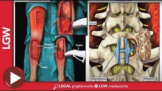 Stock Medical Illustrations