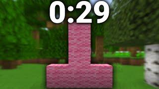 Minecraft "Pink Upside Down T" Speedrun FWR (0:29)